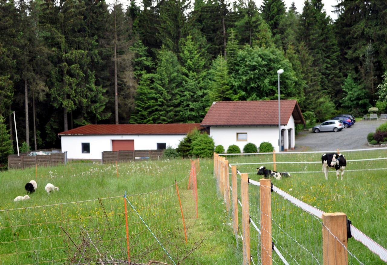 Ferienhaus Mueller Warmensteinach Buitenkant foto